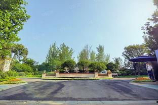 西安天琴湾最新爆料,揭秘神秘豪宅背后的故事